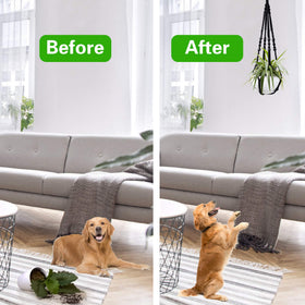 Augshy 35-inch planter display elevates decor while saving floor space.
