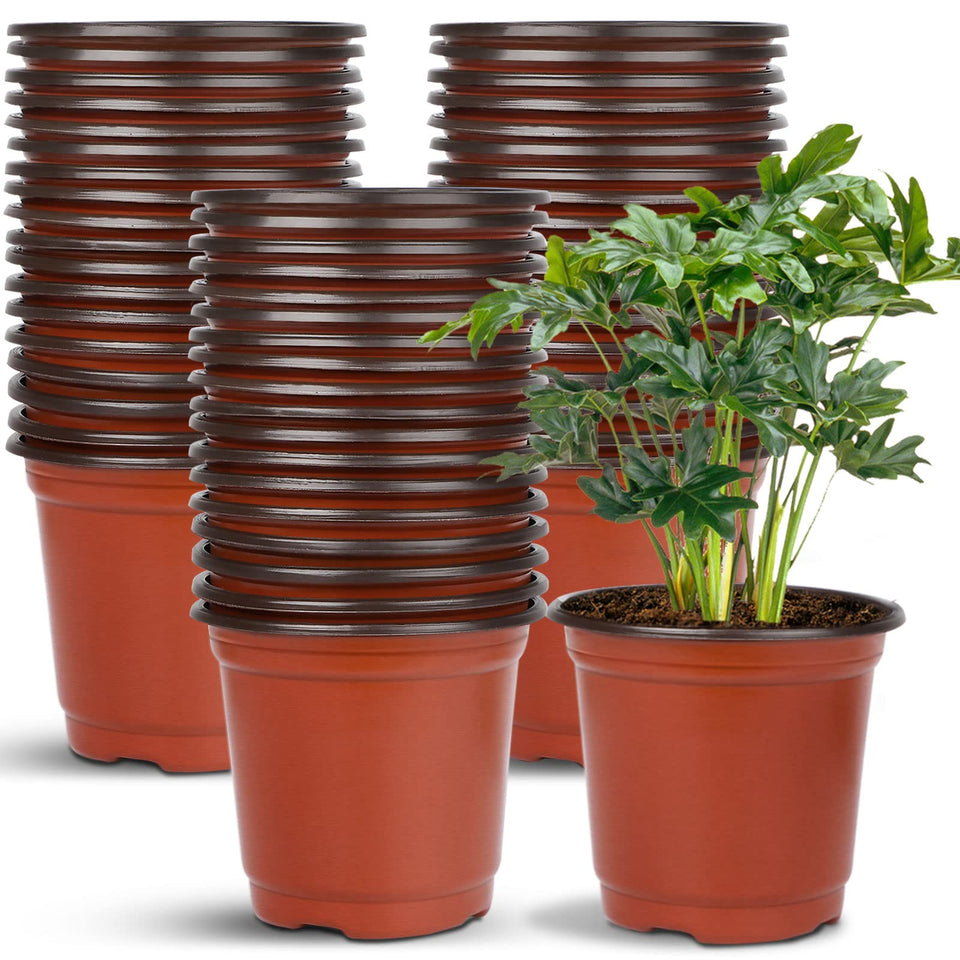 Augshy 40 pack 6 inch seed starting pots for indoor and outdoor seedlings