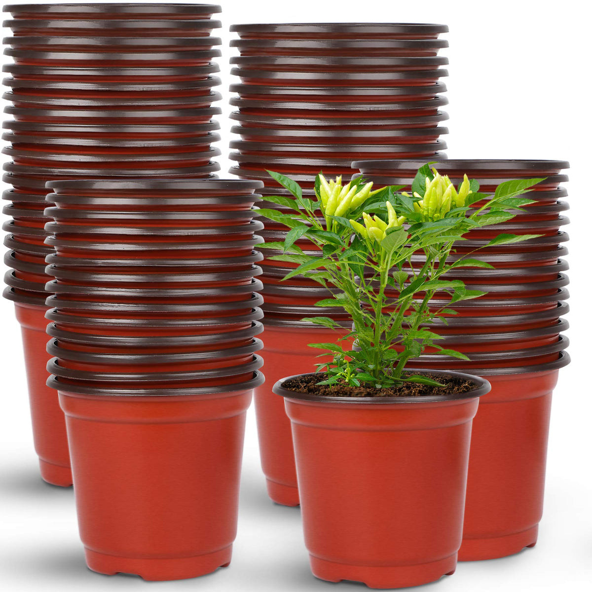 Augshy 4-inch nursery pot top view with a smooth rim for seed starting
