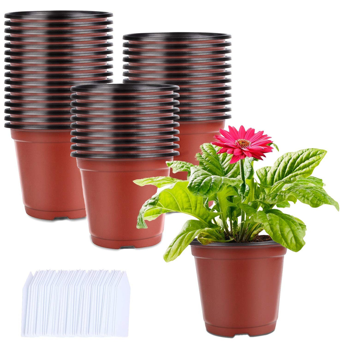 Augshy 4-inch seedling pot with brick-red exterior for easy transplanting