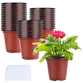 Augshy 4-inch seedling pot with brick-red exterior for easy transplanting