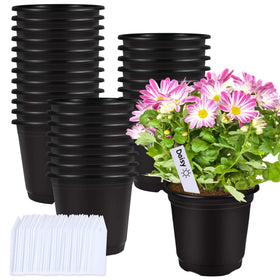 Augshy 50-pcs 6in black nursery pots ready for seed starting.