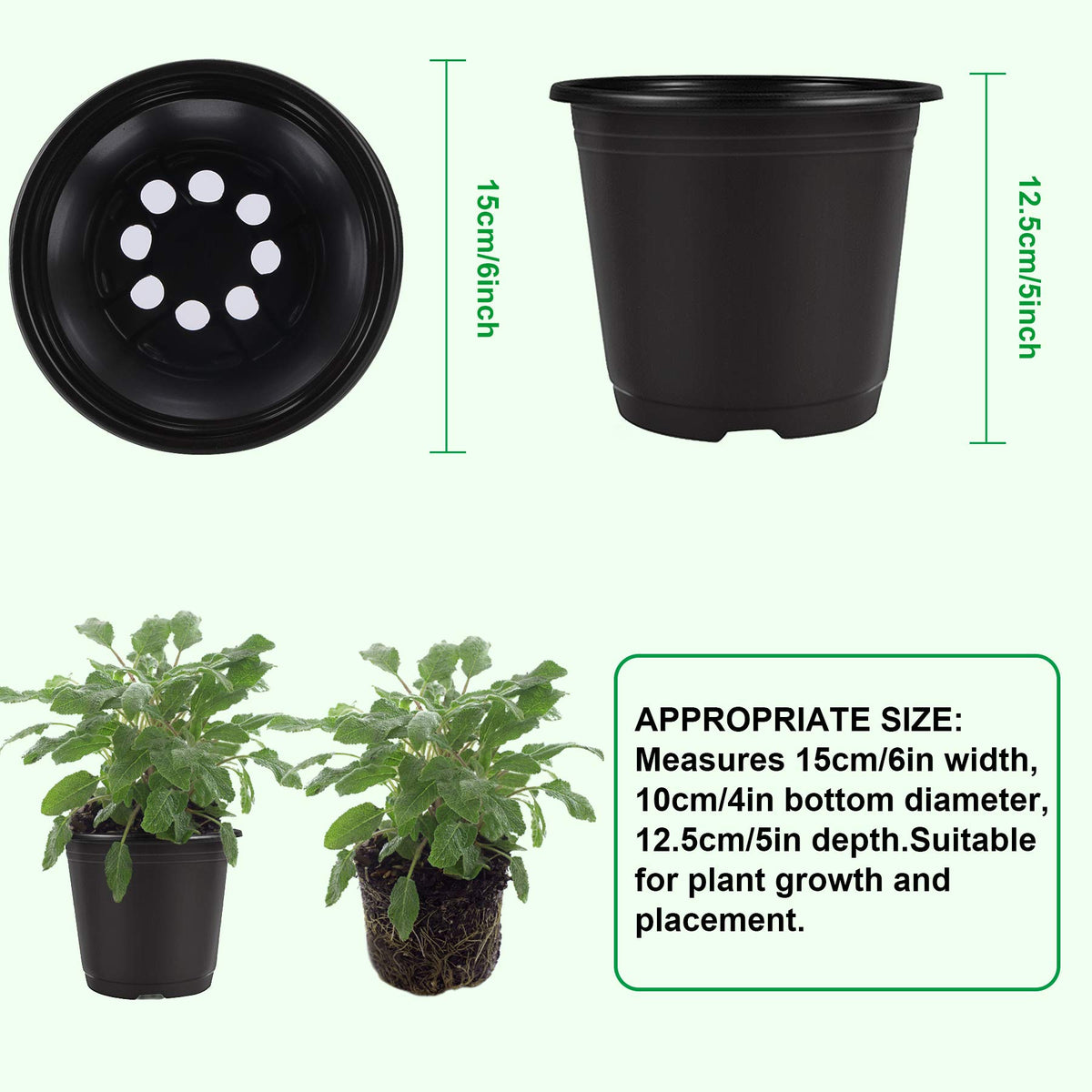 Augshy 6in plastic seed starting pots with durable surface.