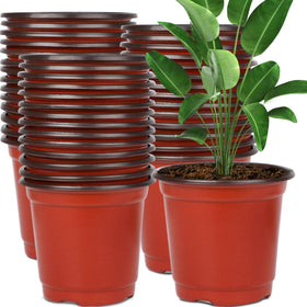 Augshy 6-inch plastic pot in terracotta with black interior for stylish plant display.