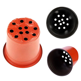 Augshy 6-inch pot supports succulents, herbs, and cuttings with strong drainage.