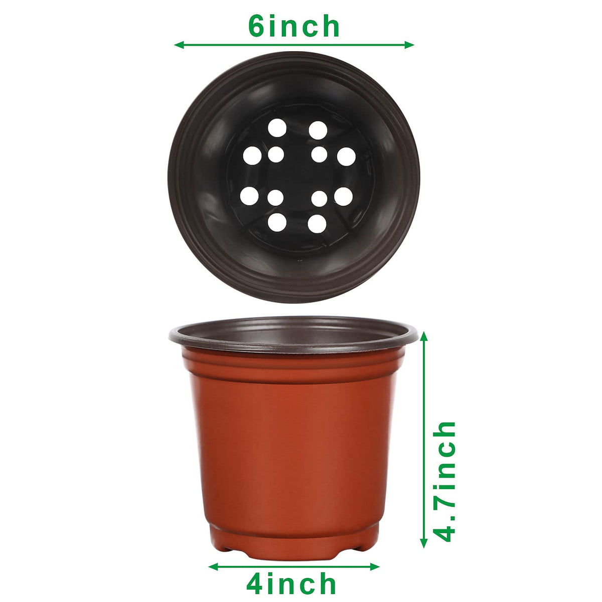 Augshy 6 inch plastic seedling pots with drainage support healthy transplanting