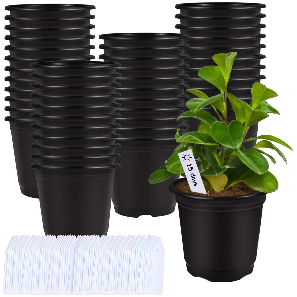 Augshy 75-ct 6in black plastic nursery pots for starting seedlings
