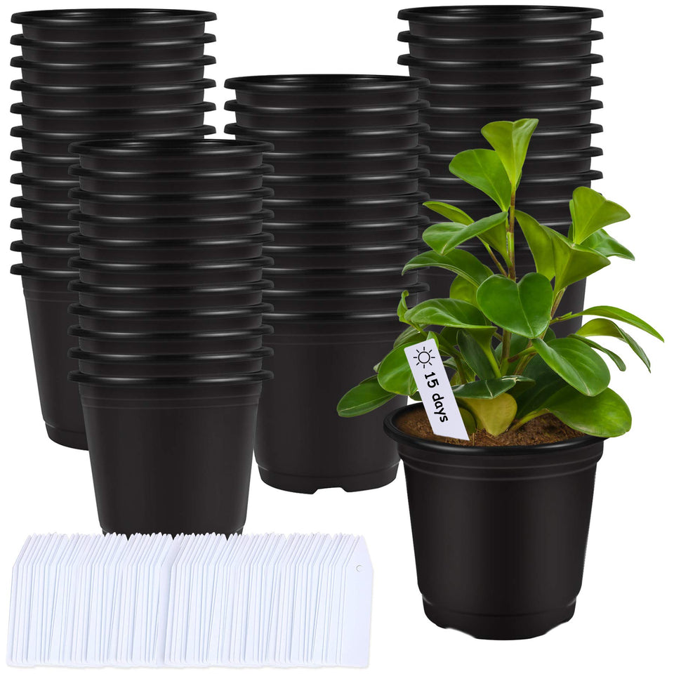 Augshy 75-ct 6in black plastic nursery pots for starting seedlings