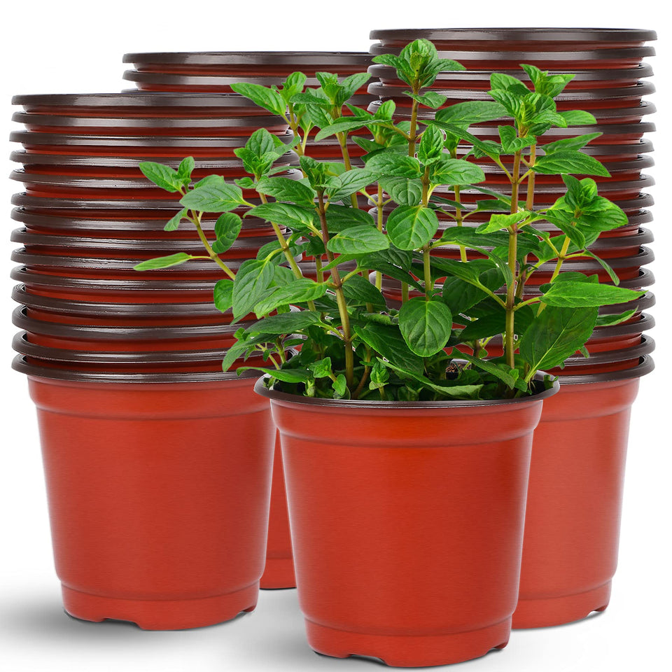 Augshy 75-pack 6-inch nursery pots for indoor and outdoor seed starting.