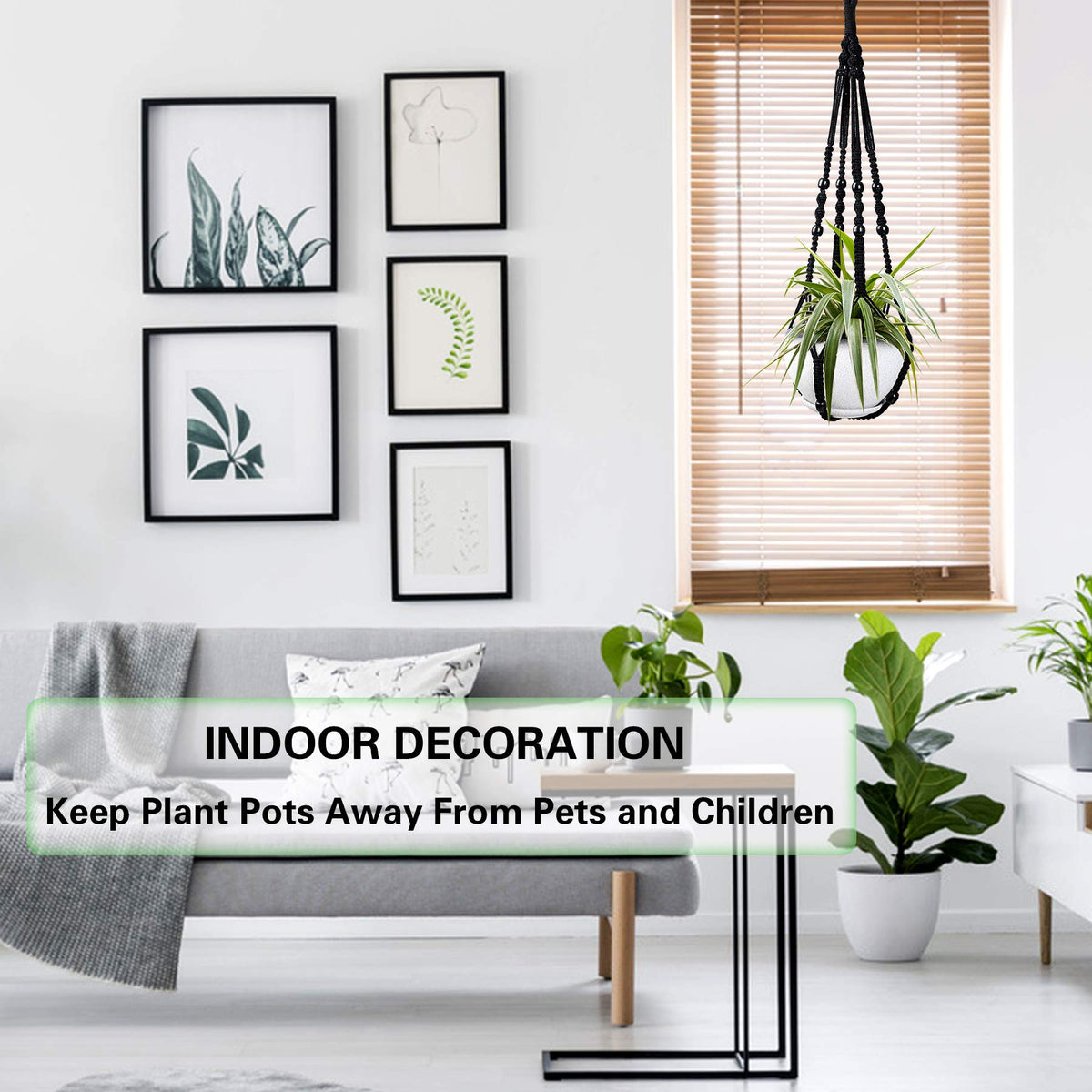 Augshy ceiling-hung planter kit enables flexible interior setup.