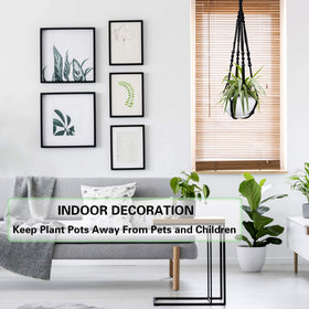 Augshy ceiling-hung planter kit enables flexible interior setup.