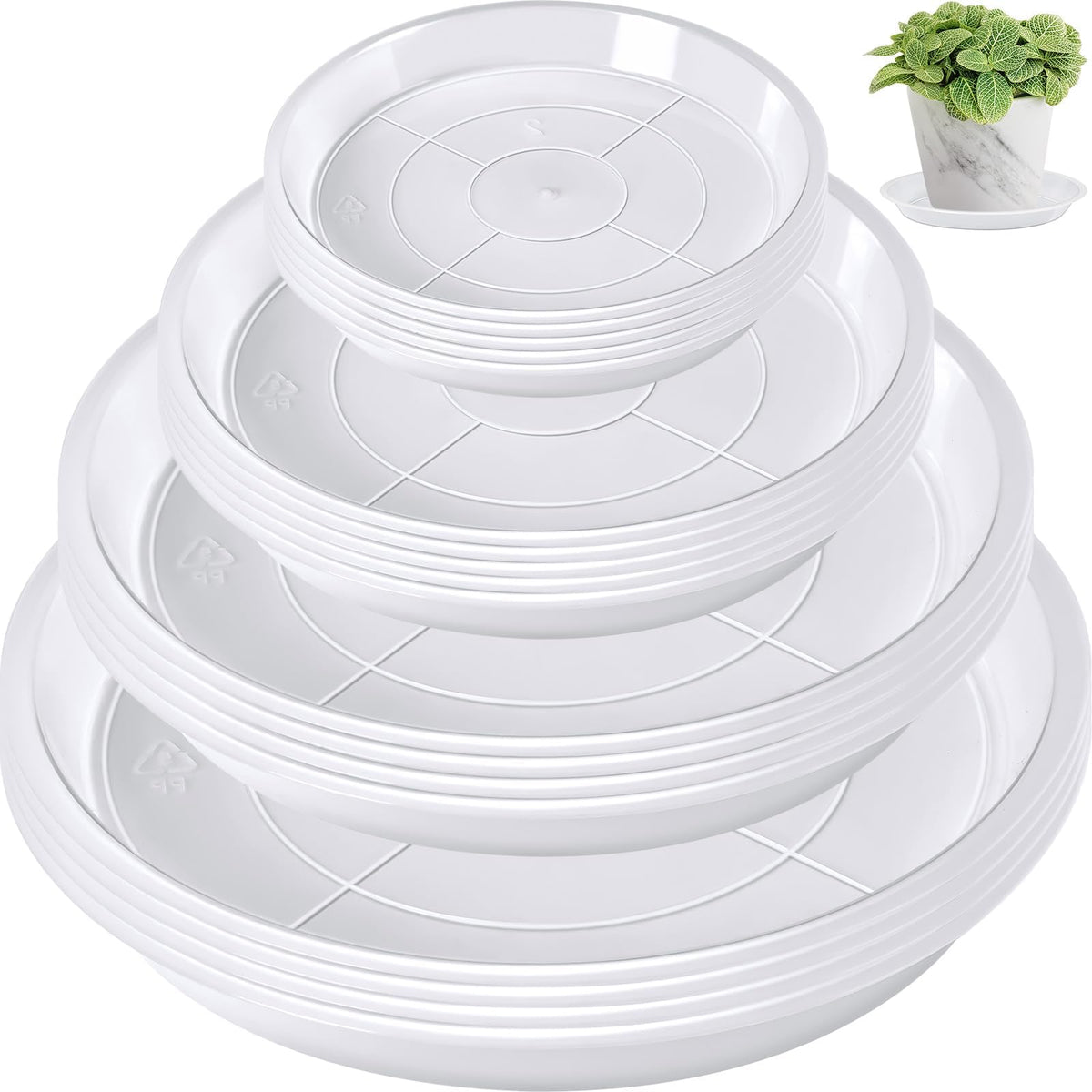 Augshy clear plant saucer 4-inch under pot catches drainage and protects surfaces.