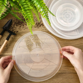 Augshy clear plant saucer 8-inch with plant, durable for outdoor use.