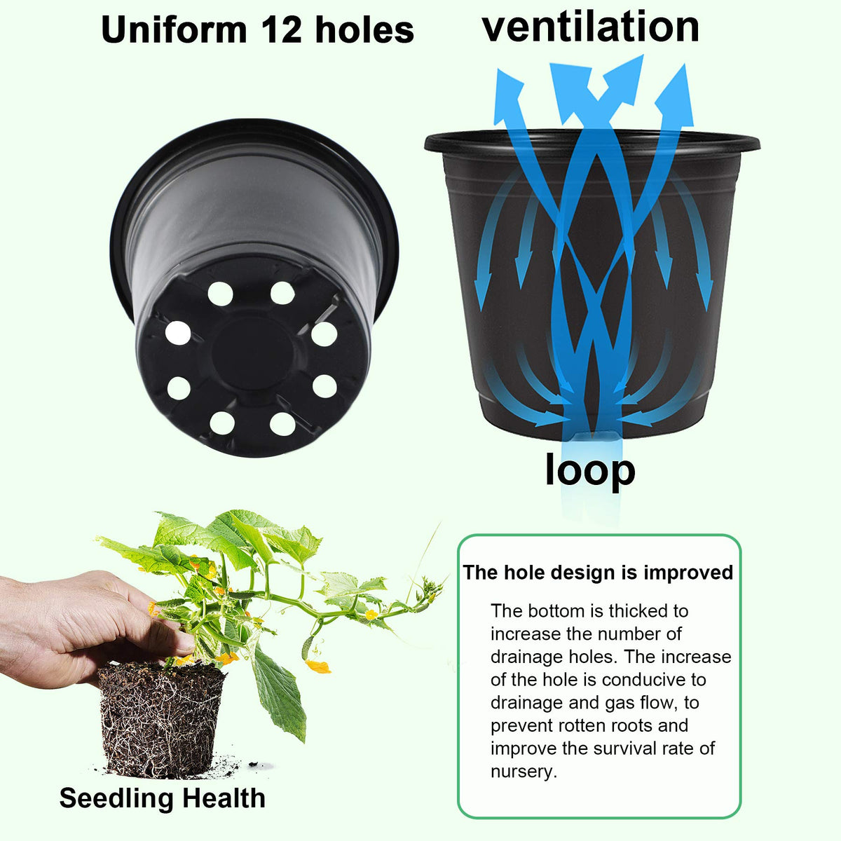 Close-up of Augshy pot showing 12 drainage holes for airflow and drainage.