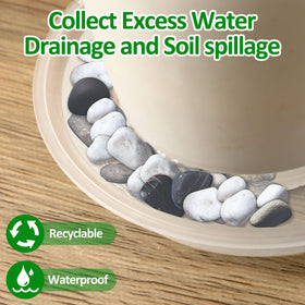 Augshy clear plant saucer designed for indoor and outdoor resilience.