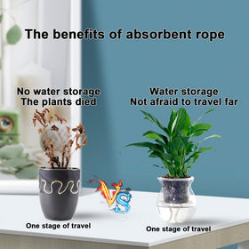 Augshy easy-cut wick cord allows customizing length for any pot