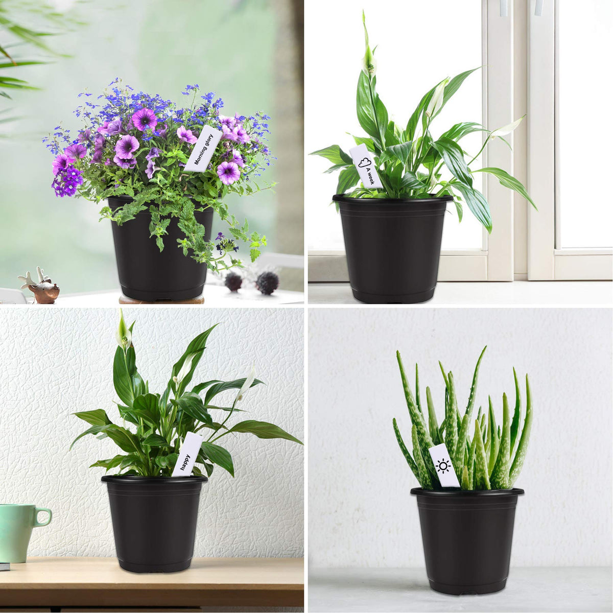 Augshy garden pots ideal for herbs, succulents, seedlings