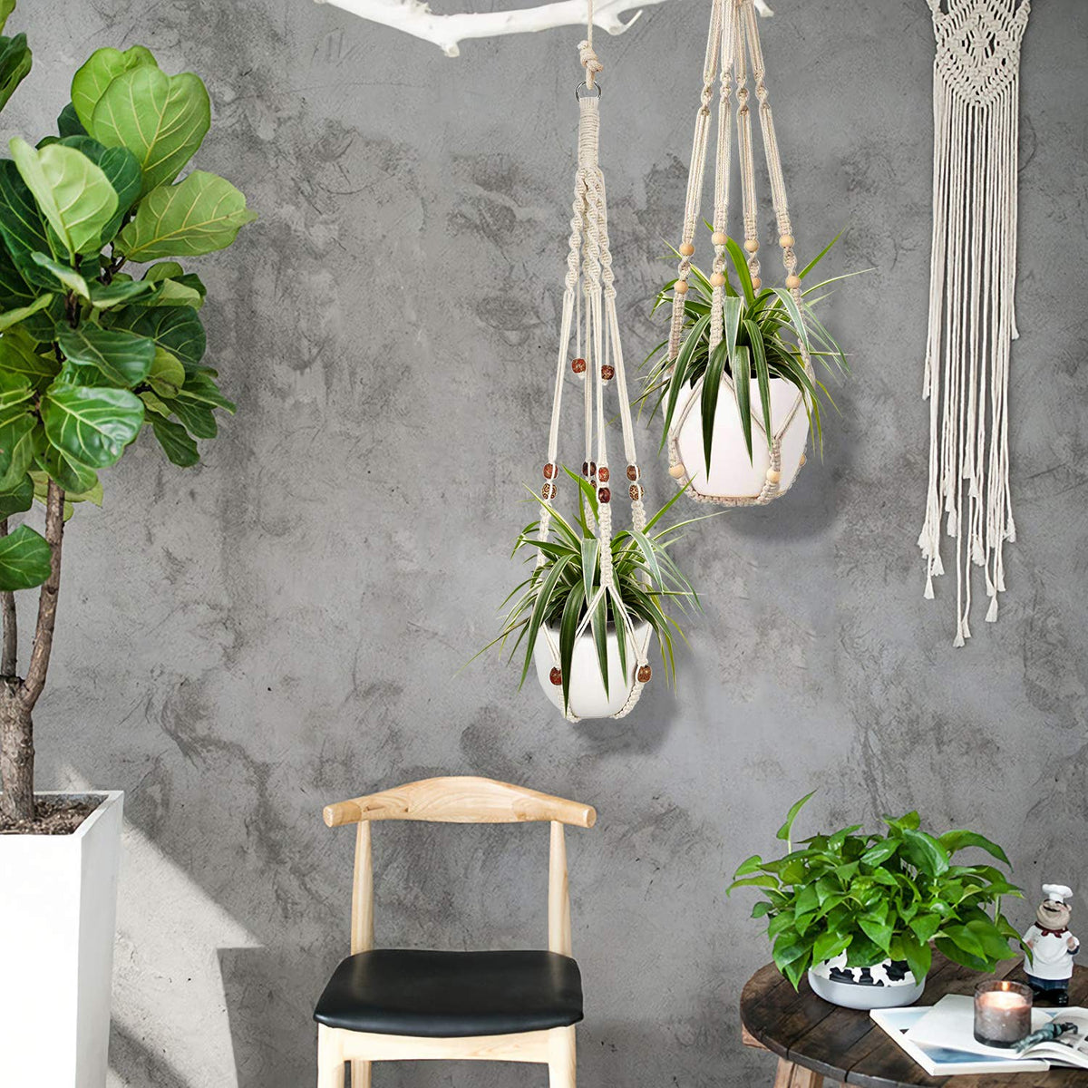Augshy hanging plant in indoor-outdoor setup, ideal space-saving decor.