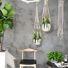 Augshy hanging plant in indoor-outdoor setup, ideal space-saving decor.