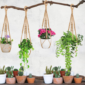 Augshy hanging planter in living room holds pots neatly and safely.