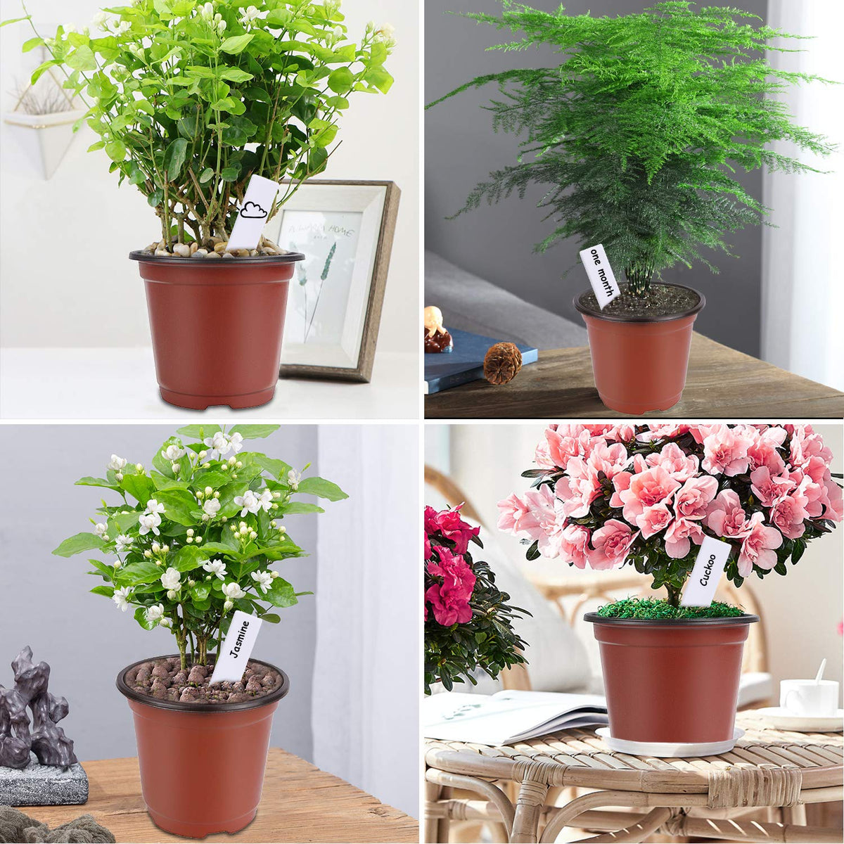 Augshy 4-inch pots designed for practical seed starting and gardening