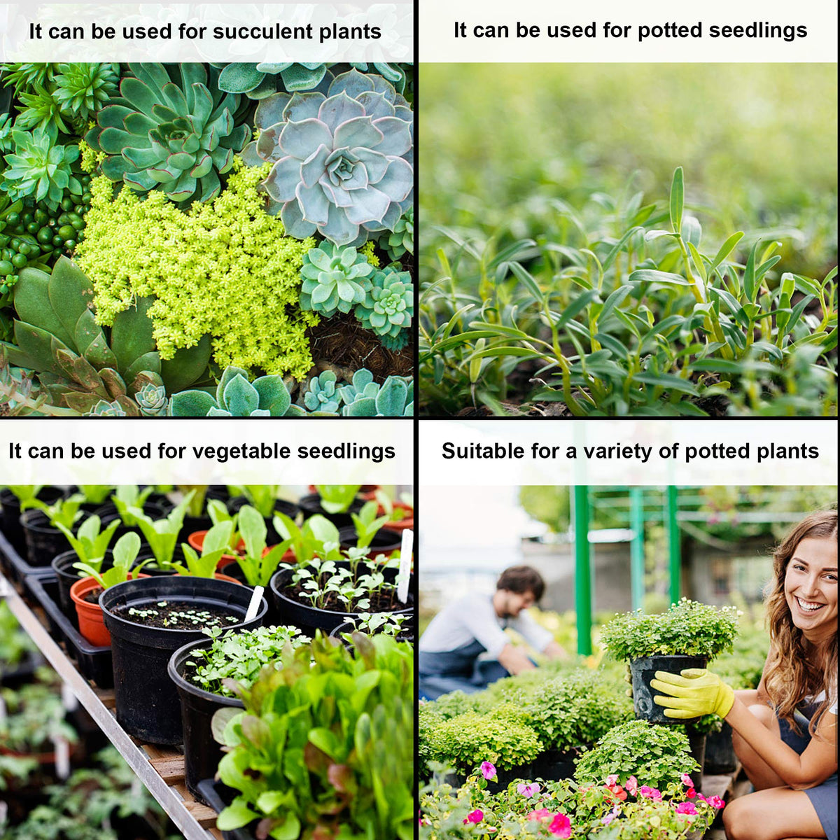 Augshy pots ideal for herbs and small vegetables in home gardens.