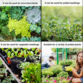 Augshy pots ideal for herbs and small vegetables in home gardens.