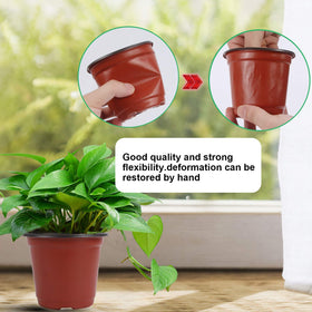 Augshy indoor-outdoor plant container suitable for home or cafe spaces