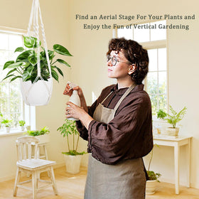 Augshy living room planter adds modern decorative flair
