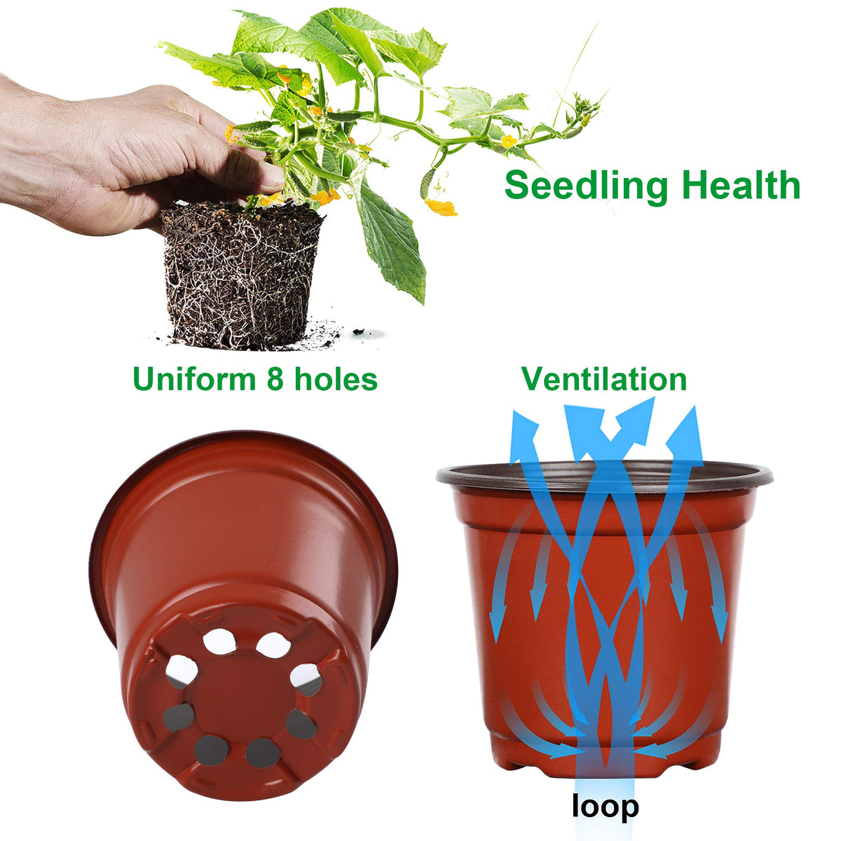 Augshy 110-pcs set displayed together as a cost-efficient gardening solution.