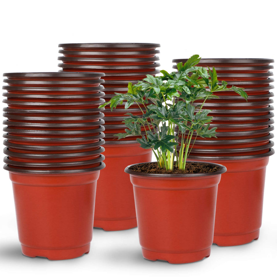 Augshy nursery pot with 4-inch top diameter for easy seedling start.