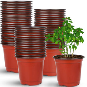 Augshy 4-inch nursery pot top view demonstrates compact seed-starting design.
