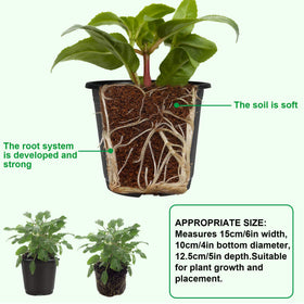 Augshy 6-inch nursery pot set is lightweight and reusable for planting cycles.