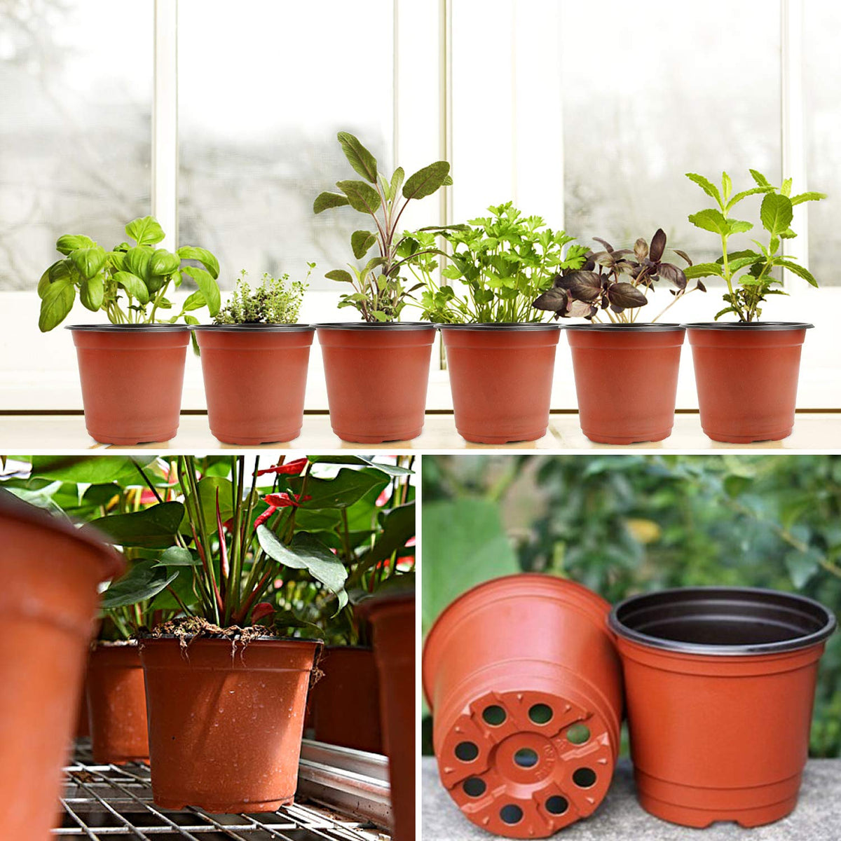 Augshy nursery pot designed for seed starting and early-stage growth.