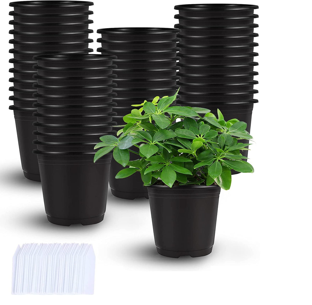 Augshy nursery pots 4inch set ready for seed starting and transplanting