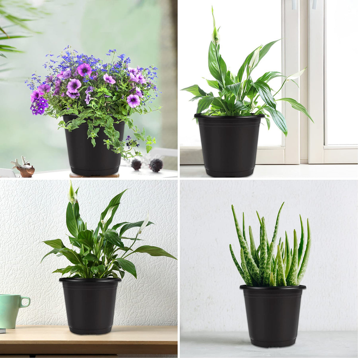Augshy packaging includes 110 pots and waterproof labels