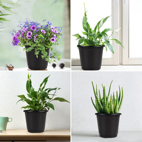 Augshy packaging includes 110 pots and waterproof labels