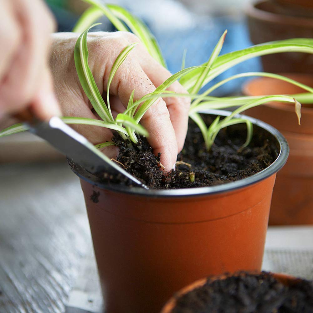 Augshy plastic pots are lightweight, washable, and reusable for ongoing gardening.