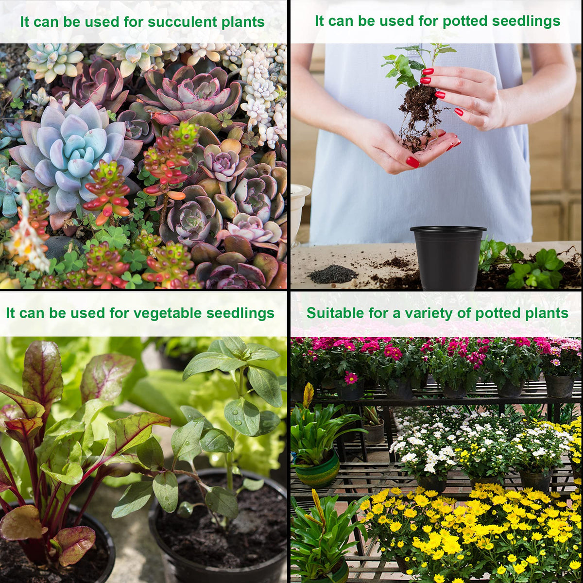 Augshy plastic tags included for labeling seedlings clearly