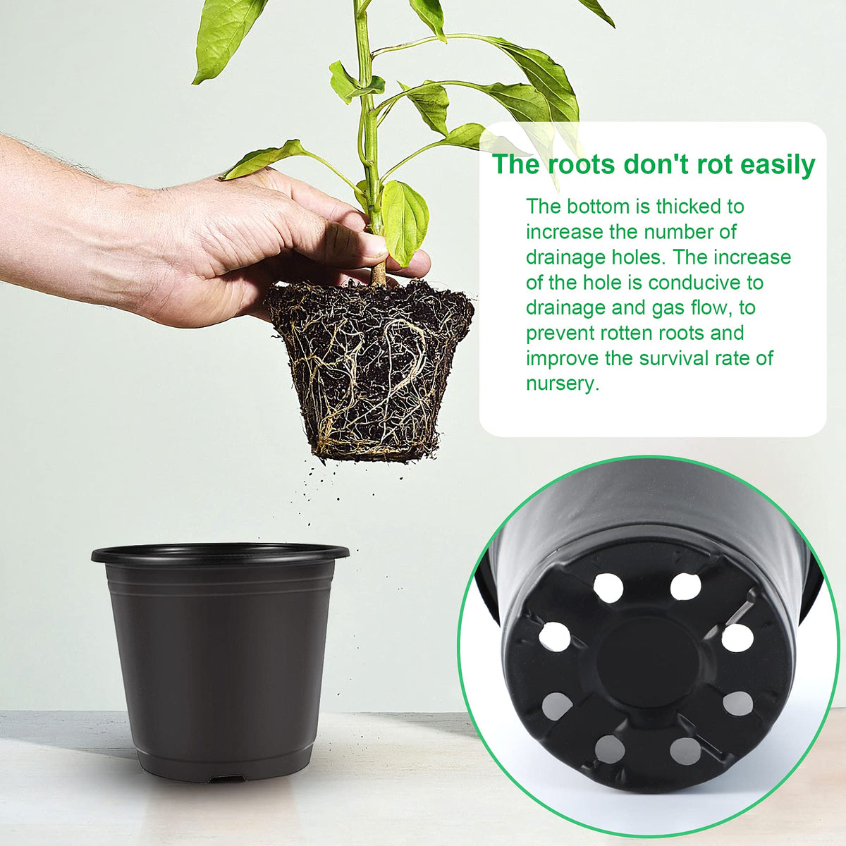 Augshy pot dimensions show 4inch top and 2.8inch bottom