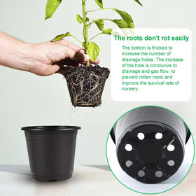 Augshy pot dimensions show 4inch top and 2.8inch bottom