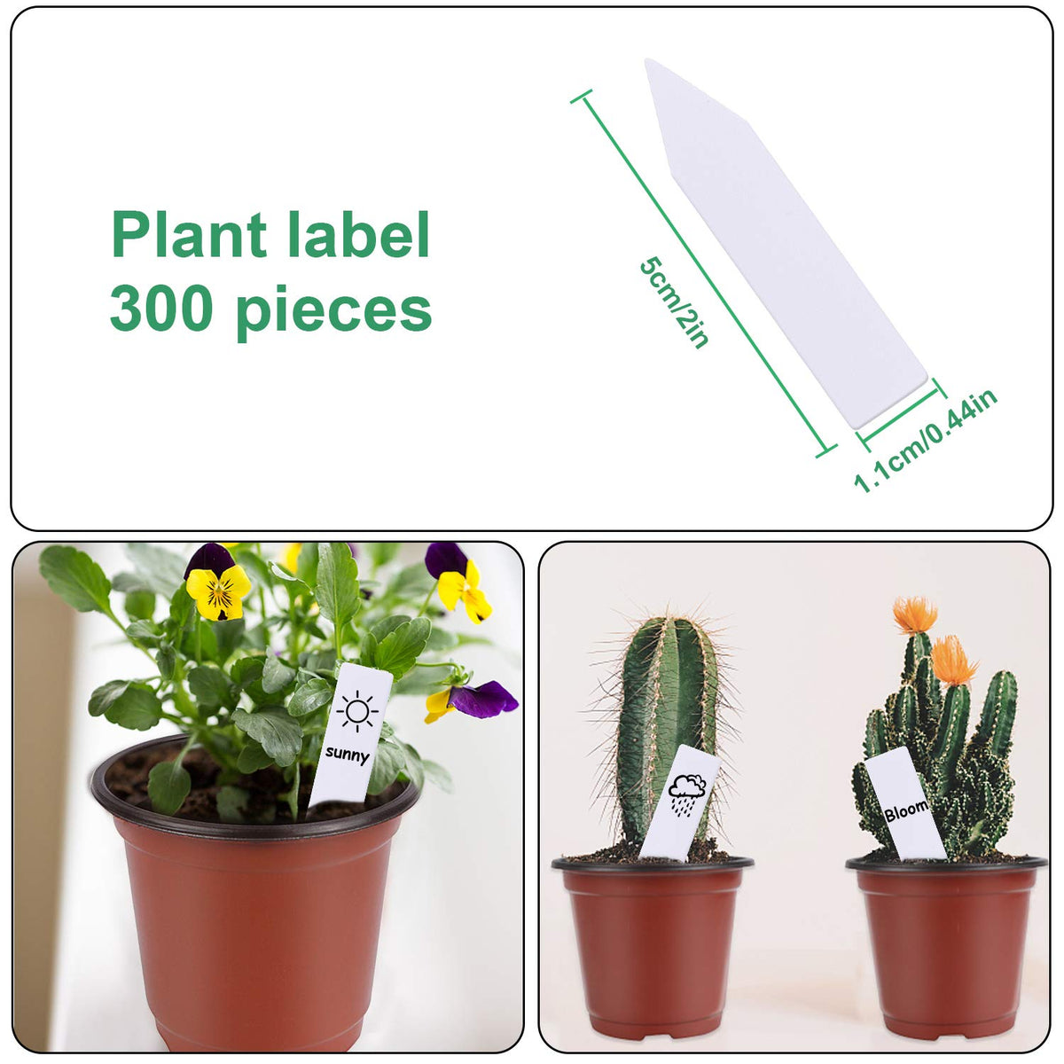 Augshy PP material seed-starting pot offers flexible durability
