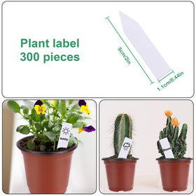 Augshy PP material seed-starting pot offers flexible durability