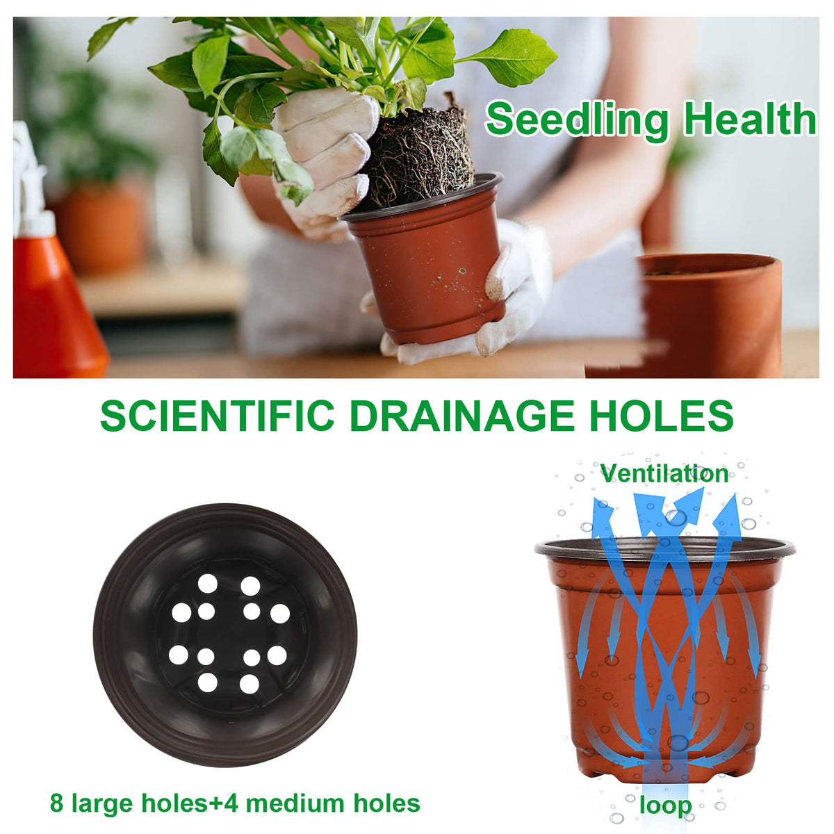Augshy improved drainage holes promote air and water balance for roots