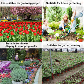 Augshy versatile nursery pots for greening projects and mall displays