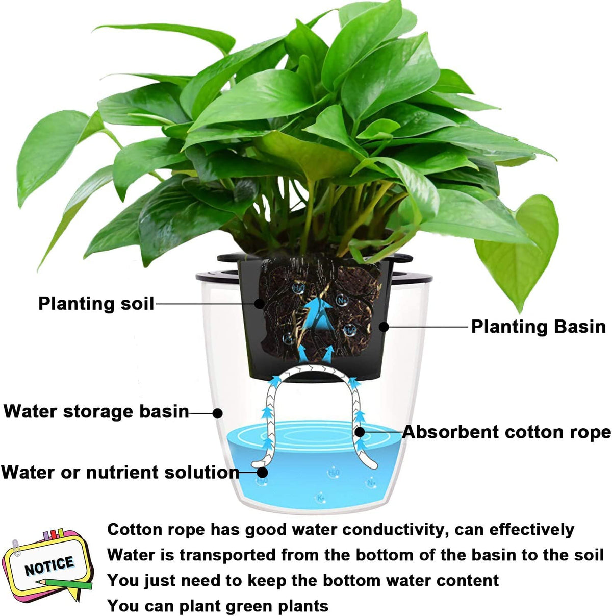 Augshy wick cord absorbs water and transports moisture to soil