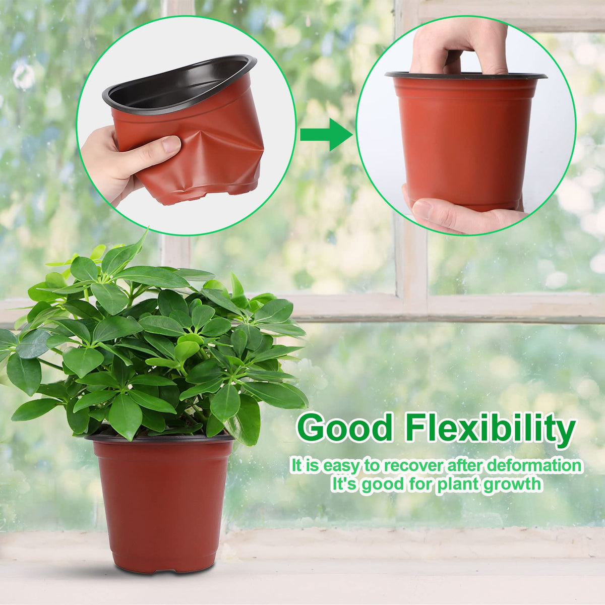 Augshy nursery pots suited for greening projects homes and shop displays