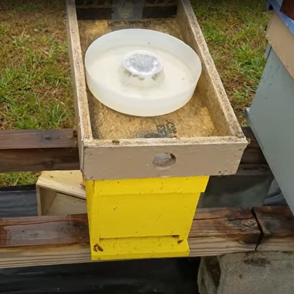 AukBeeFun easy-refill setup reduces hive disturbance during watering.