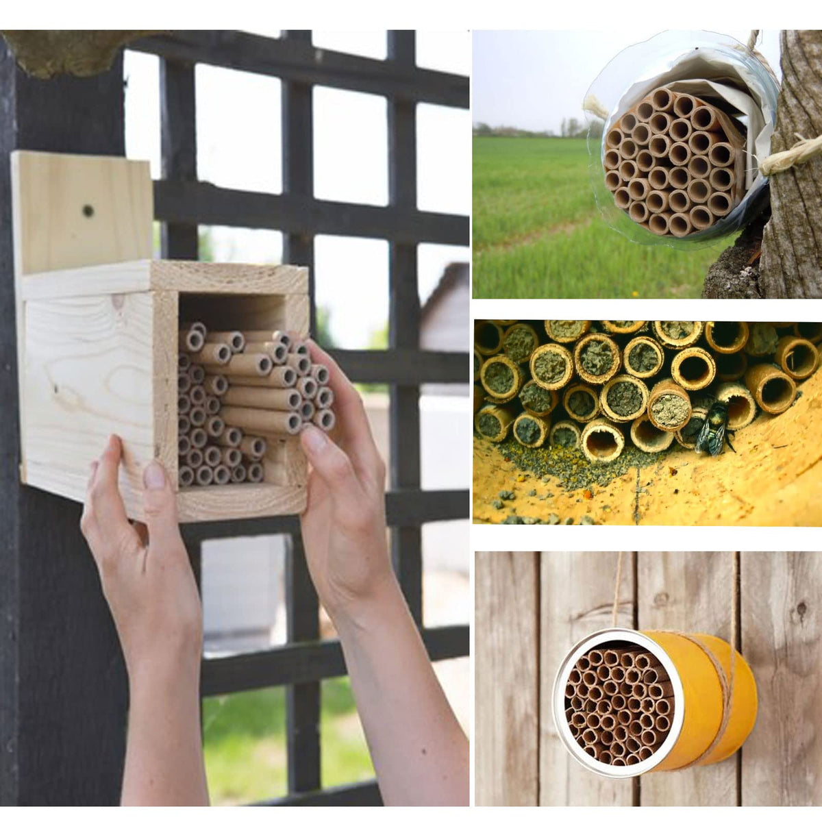 AukBeeFun habitat-friendly tubes; supports local mason bee populations and garden pollination.