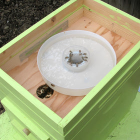 AukBeeFun hive top feeder assembly highlighting easy refill without hive disturbance.